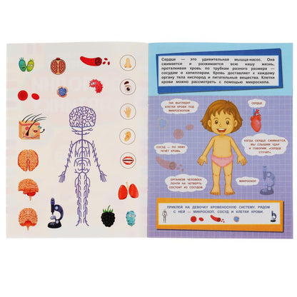 "УМКА". ТЕЛО ЧЕЛОВЕКА. ДОПОЛНИ КАРТИНКУ, 35 НАКЛЕЕК. ФОРМАТ: 160Х215 ММ. ОБЪЕМ: 8 СТР. в кор.50шт