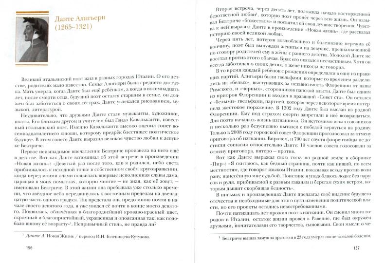 Литература. 8 кл. Учебник Ч.2.