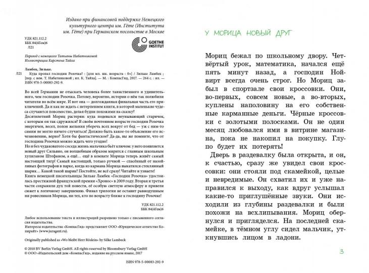 Куда пропал господин Розочка? (2-е изд.)