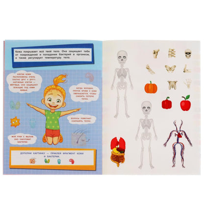 "УМКА". ТЕЛО ЧЕЛОВЕКА. ДОПОЛНИ КАРТИНКУ, 35 НАКЛЕЕК. ФОРМАТ: 160Х215 ММ. ОБЪЕМ: 8 СТР. в кор.50шт