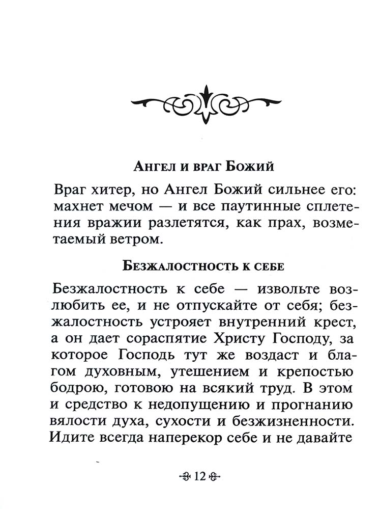 Зачем мы живем. По творениям святителя Феофана Затворника