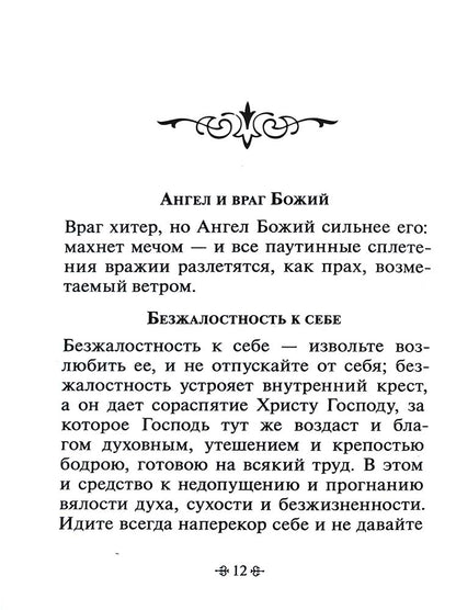 Зачем мы живем. По творениям святителя Феофана Затворника