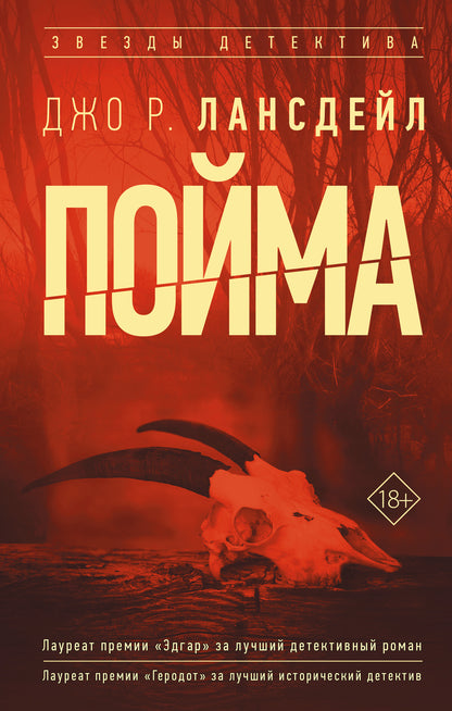Пойма