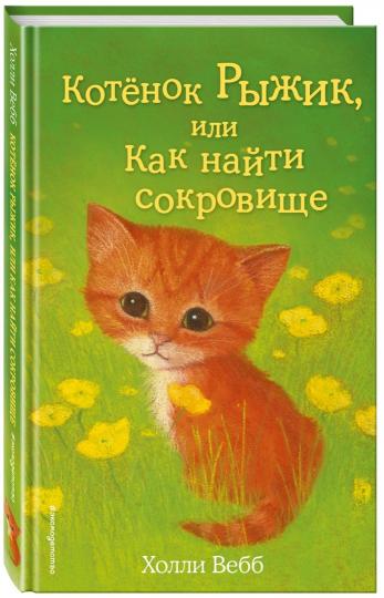 Котенок Рыжик, или Как найти сокровище (выпуск 13)