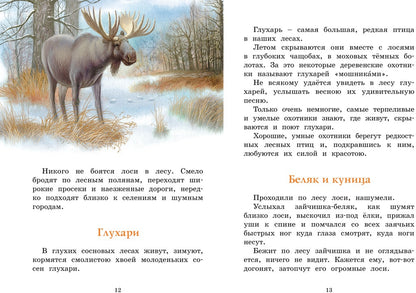 Год в лесу. Рассказы о природе