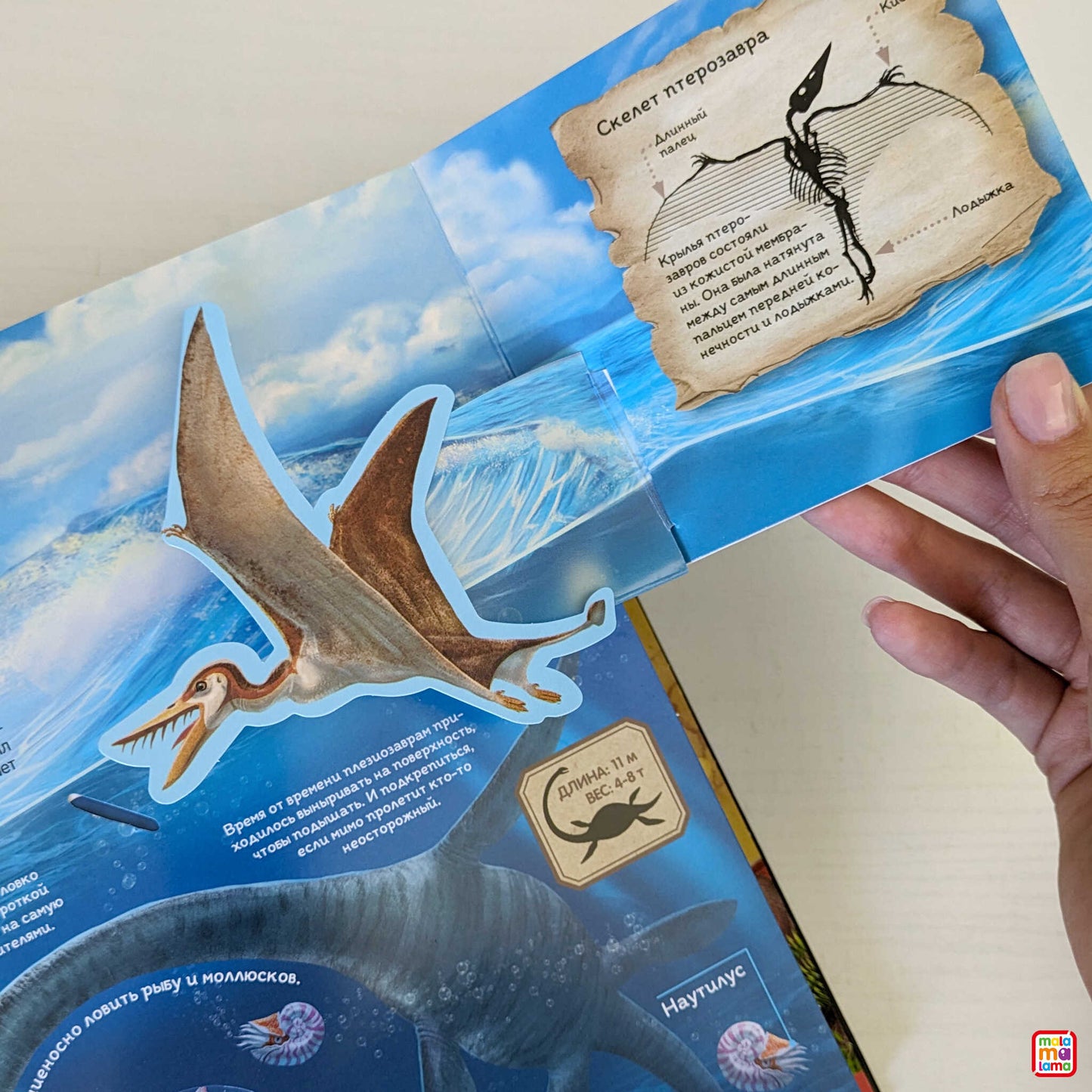 Динозавры и другие доисторические животные: книжка-панорамка. Интерактивная энциклопедия