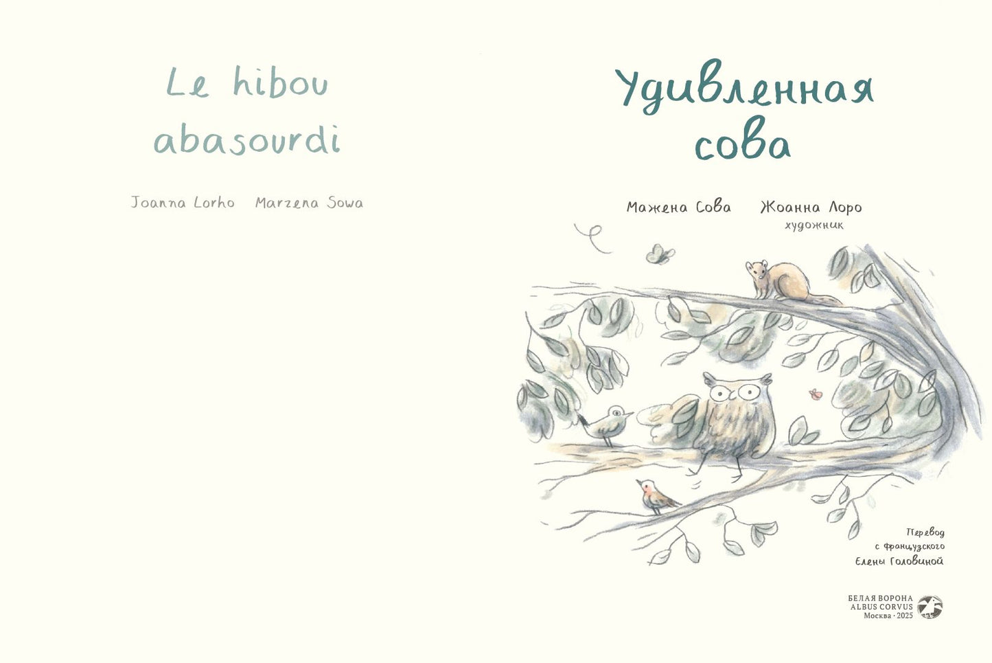 Удивленная сова