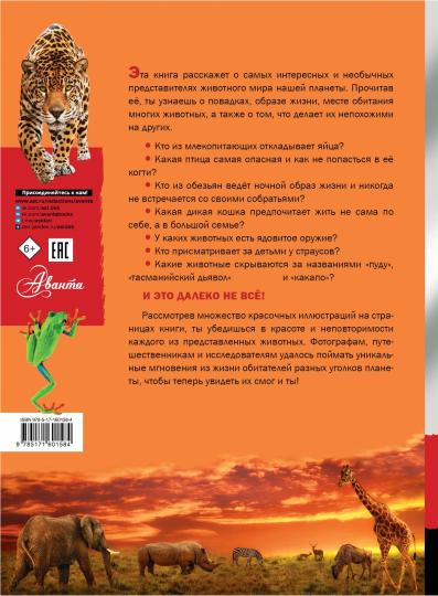 Животные
