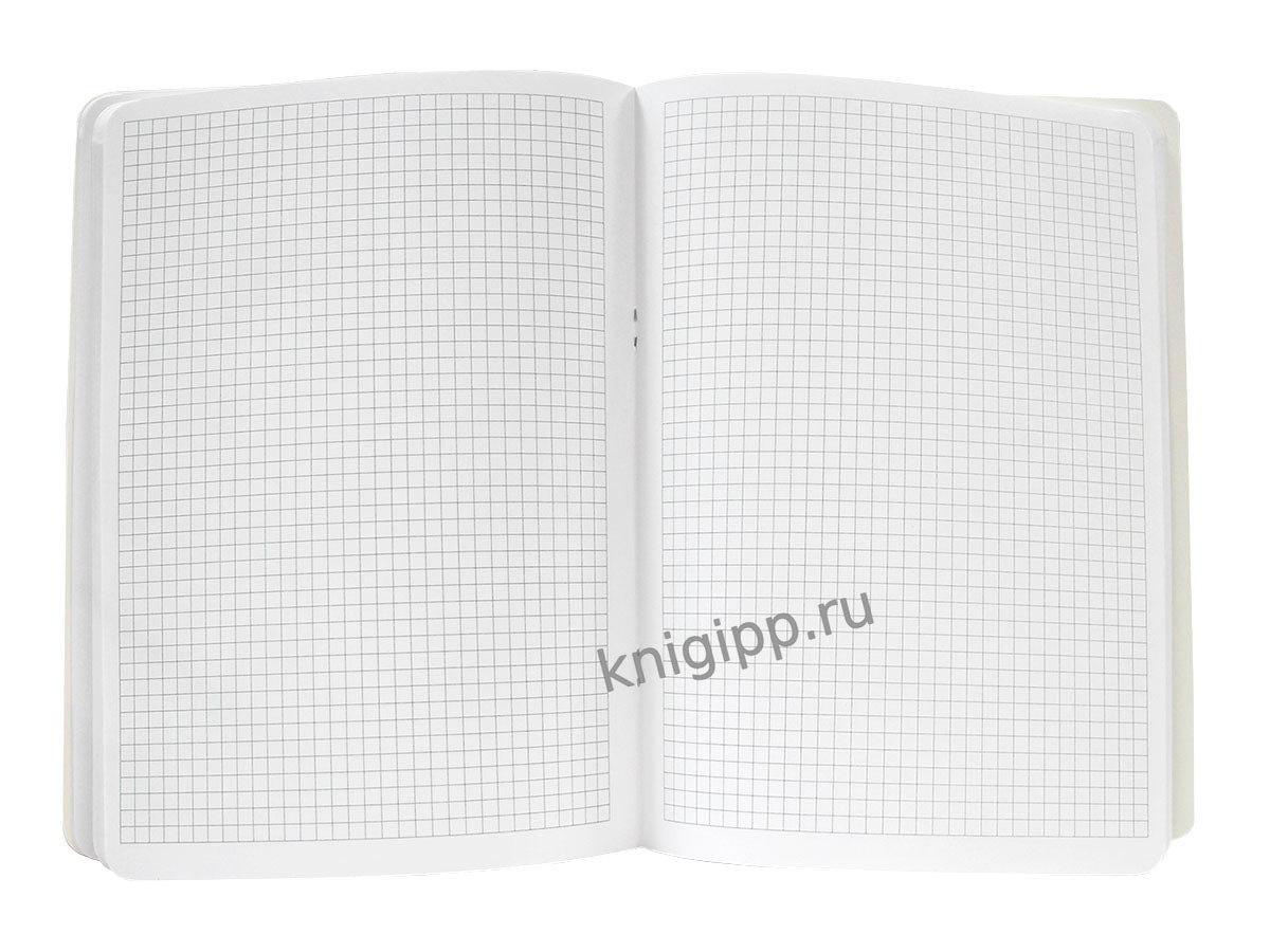 MyArt. БЛОКНОТ в клетку My big notebook. Девочка с книгами