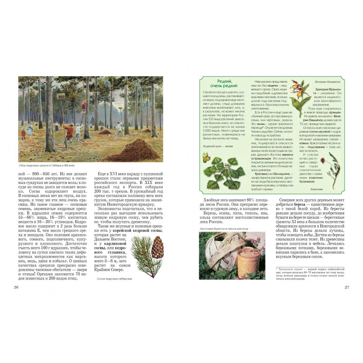 Природа России