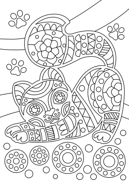 Набор для творчества. Раскраска "Котик"