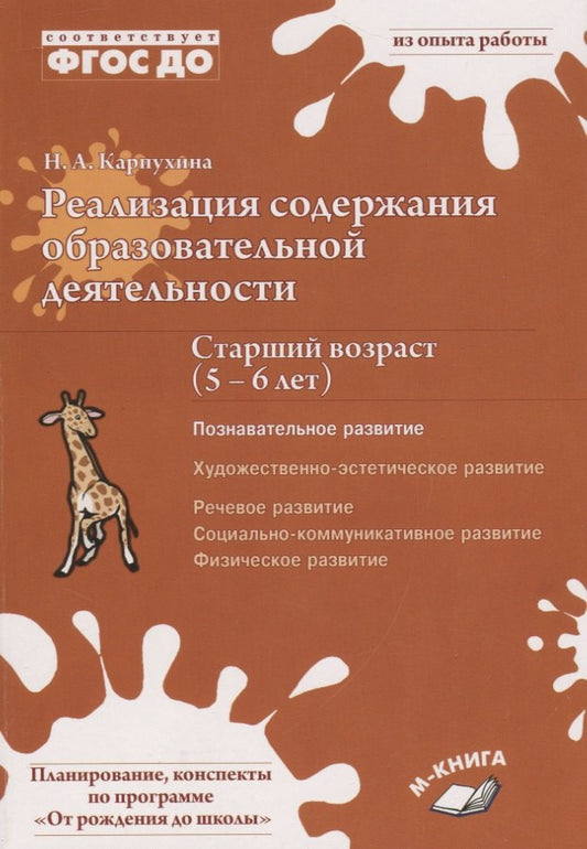 Реализация содержания образовательной деятельности. Старший возраст (5–6 лет). Познавательное развитие. (Учитель)