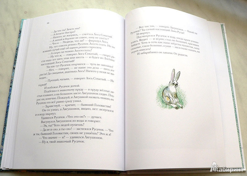 Отшельник и Роза.