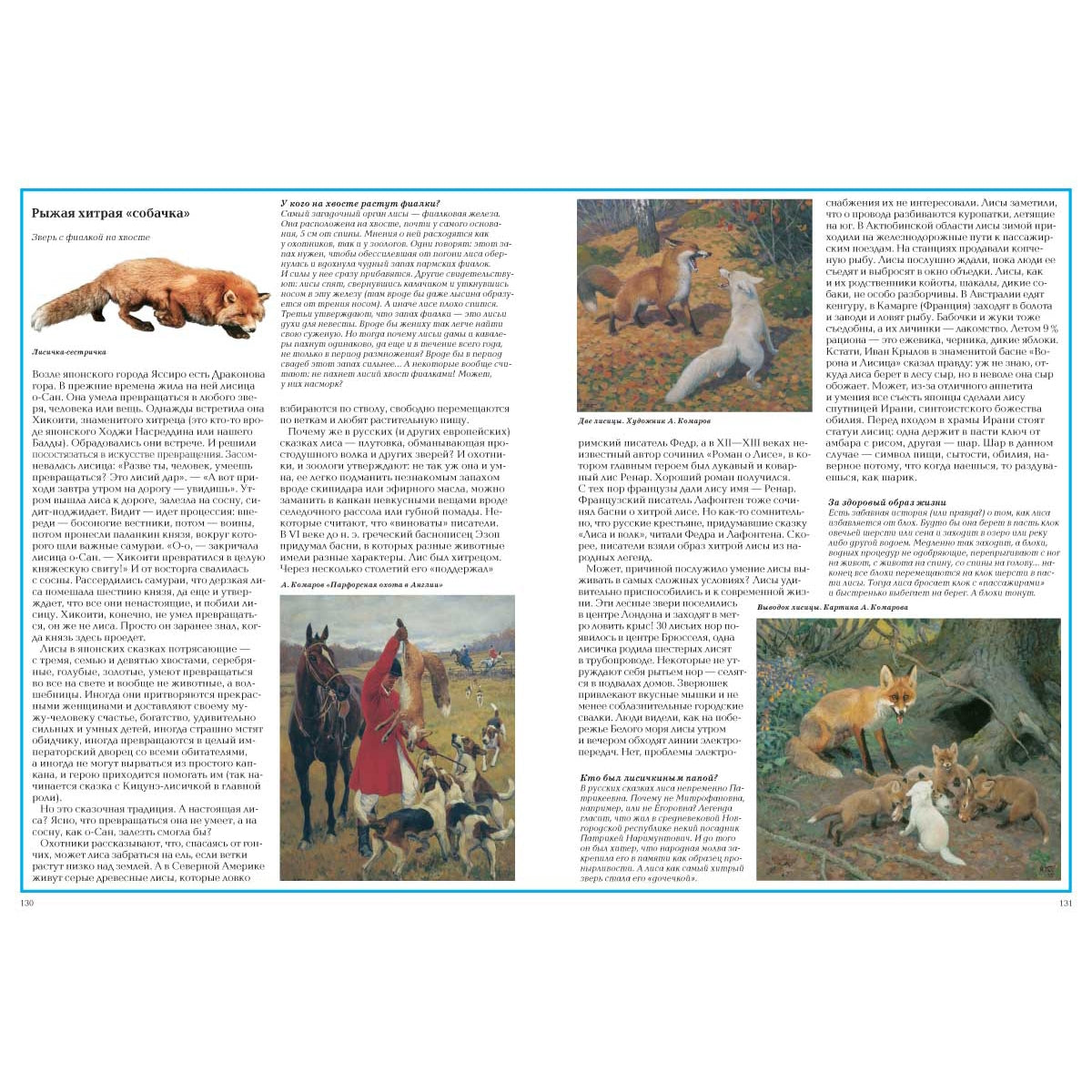 Загадки животного мира