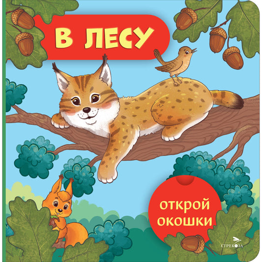 Открой окошки. В лесу /Маврина