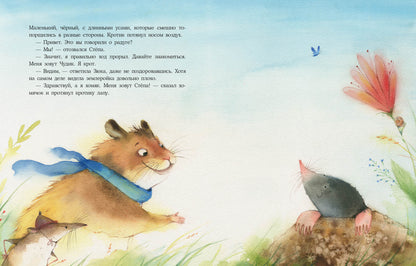 Радуга для Чудика : [сказка] / Н. Шицкая ; ил. О. А. Космодемьянской. — М. : Нигма, 2022. — 32 с. : ил. с автографом