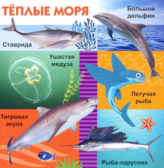 Морские обитатели
