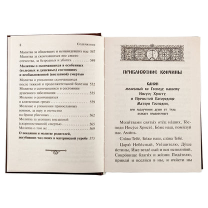 Псалтирь чтомая по усопшим. Каноны, молитвы, лития и панихида