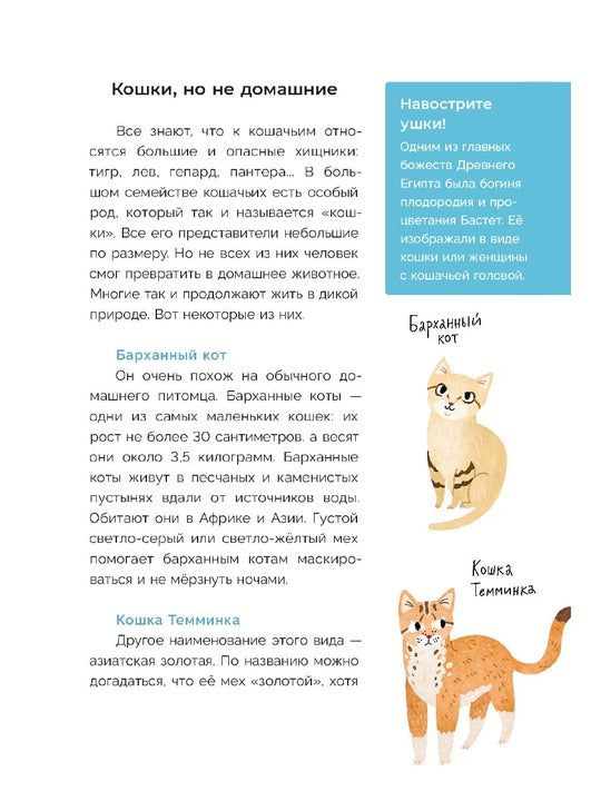Хочу котенка! Полное пособие по уходу за питомцем