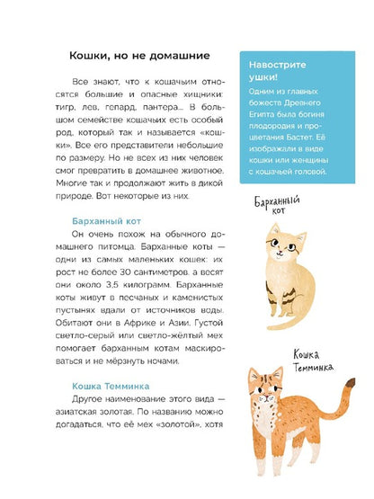 Хочу котенка! Полное пособие по уходу за питомцем