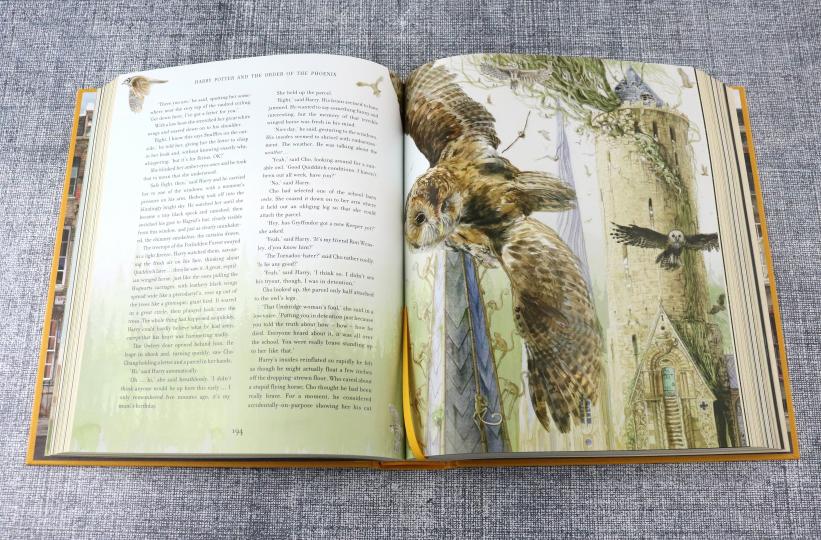 Harry Potter and the Order of the Phoenix (J. K. Rowling) Гарри Поттер и Орден Феникса (Джоан Роулинг) / Книги на английском языке