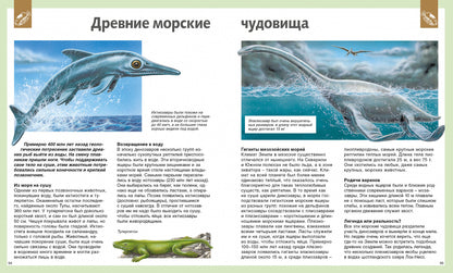 Универсальная школьная энциклопедия