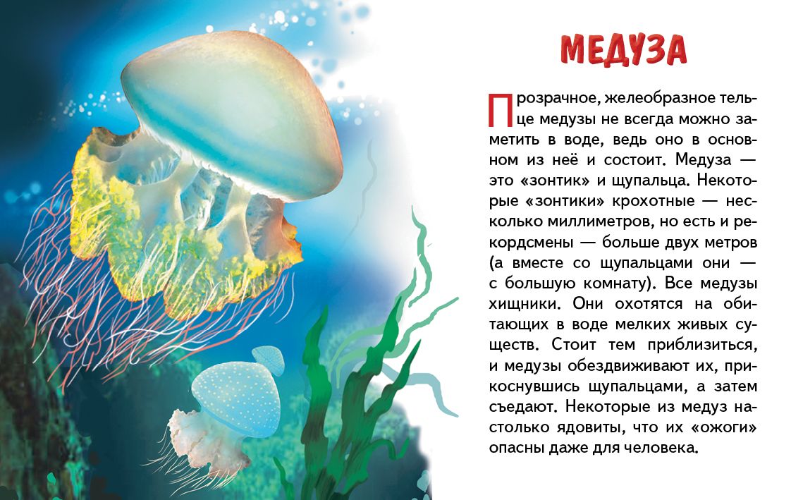 Карточки. Морские животные ; Карточки. Морские животные