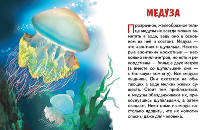 Карточки. Морские животные ; Карточки. Морские животные