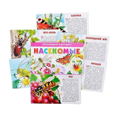 Карточки. Насекомые ; Карточки. Насекомые