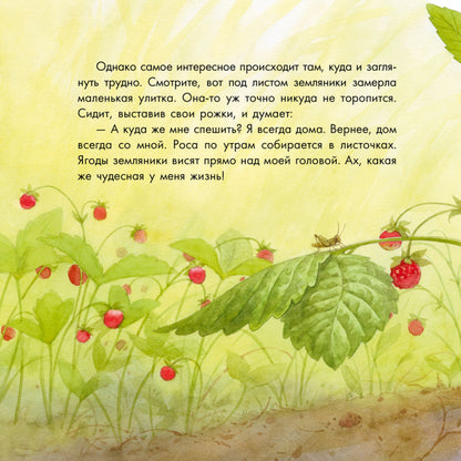 Казкотерапія: Два червячка (р)