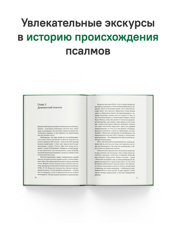 Щит Давида. Толкование псалмов, используемых в православном богослужении