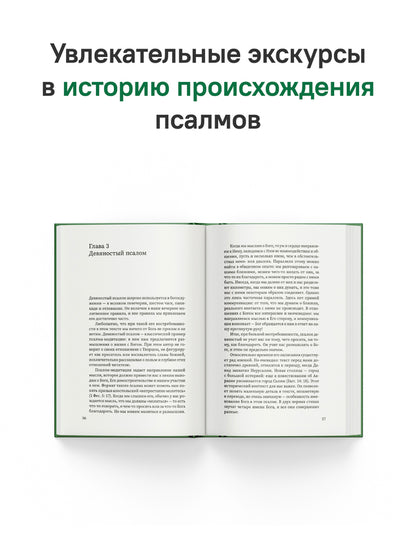 Щит Давида. Толкование псалмов, используемых в православном богослужении