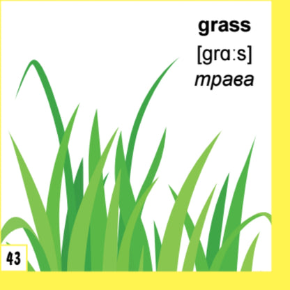 500 самых нужных английских слов и фраз. Флеш-карточки (с русской транскрипцией)
