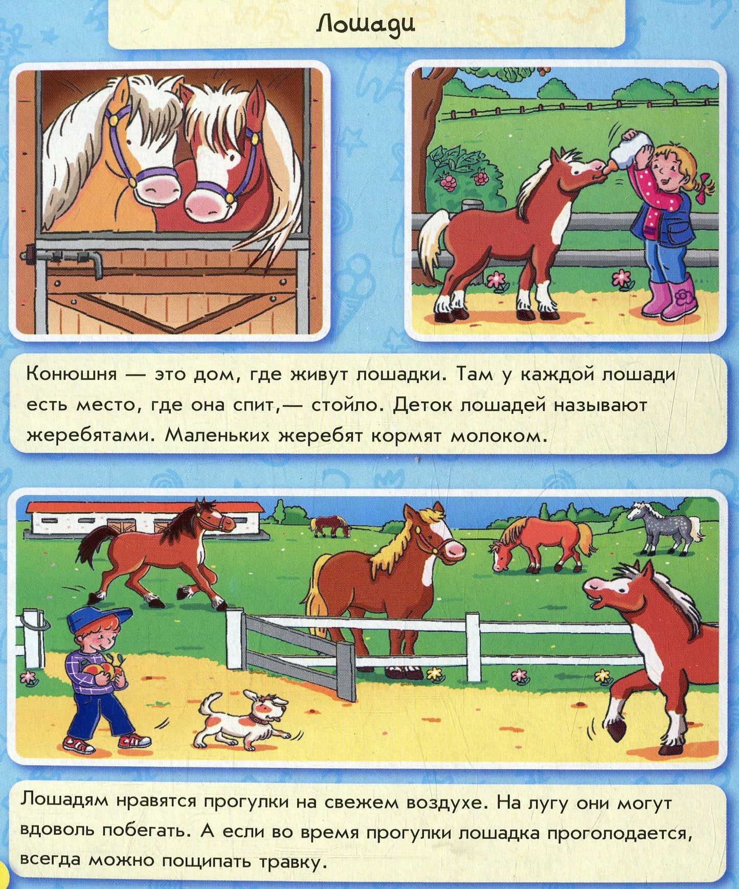 Енциклопедія в картинках: Животные на ферме (р)
