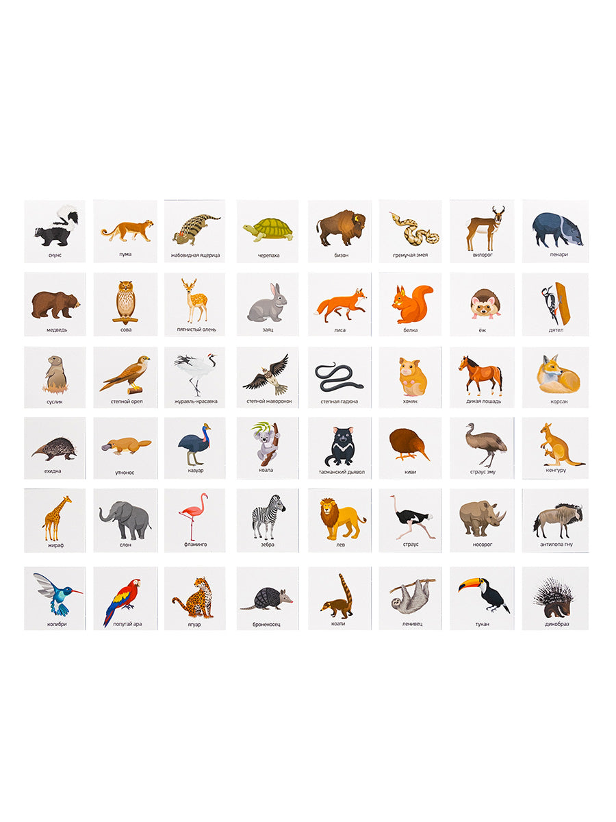 Лото "Зоопарк" (большое)