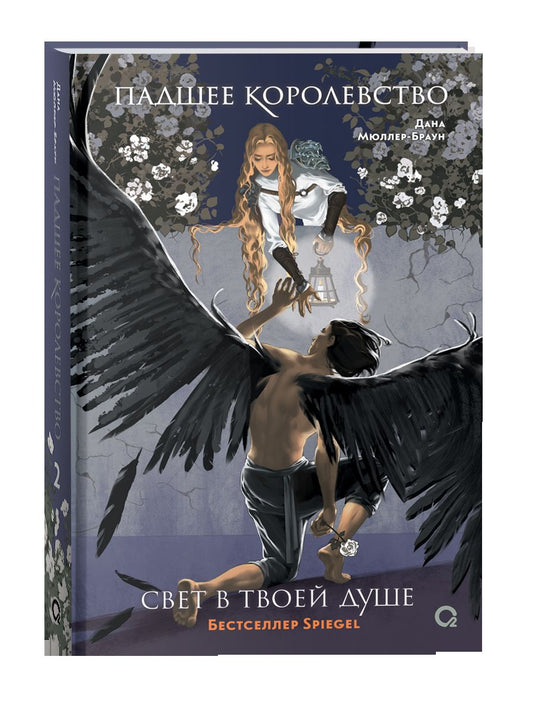 Дана Мюллер-Браун. Падшее королевство. 2. Свет в твоей душе