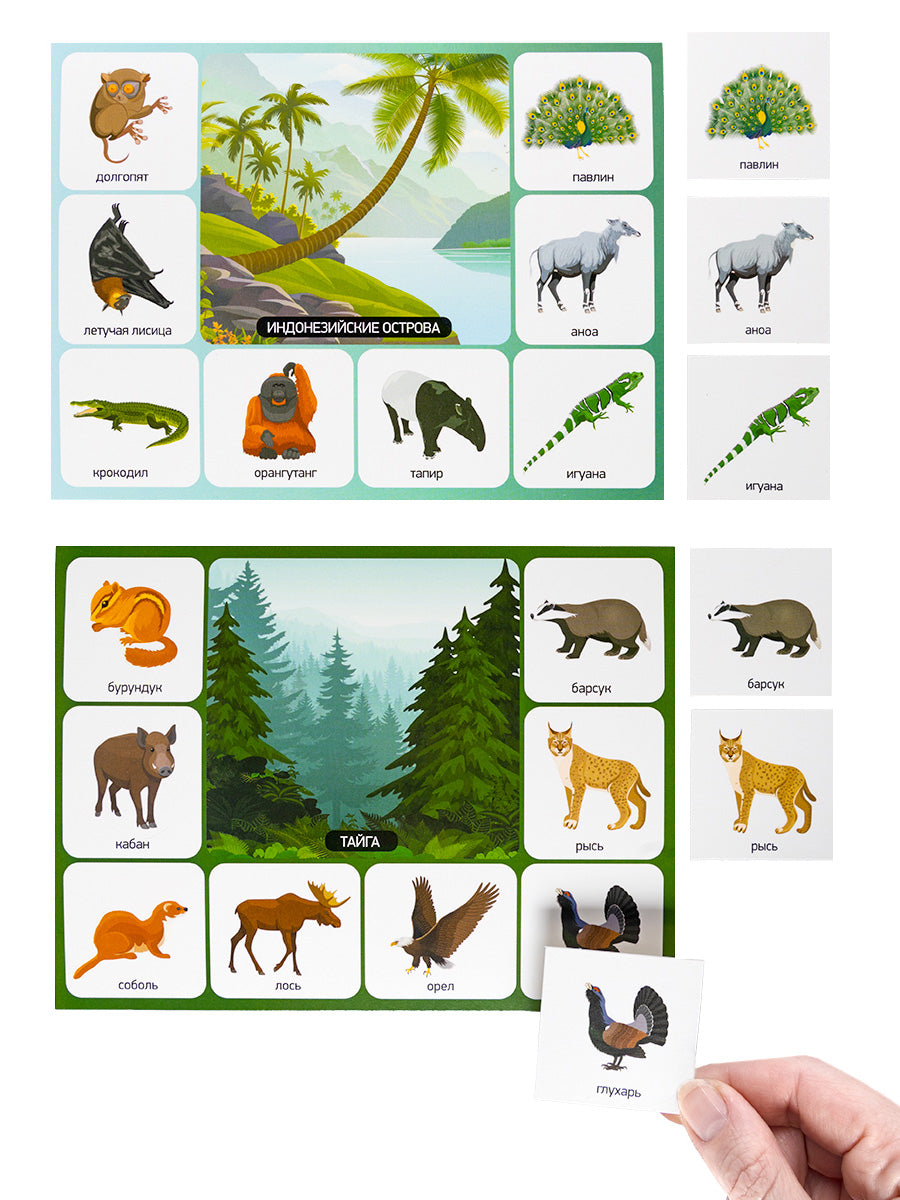 Лото "Кто где живет?" (большое)