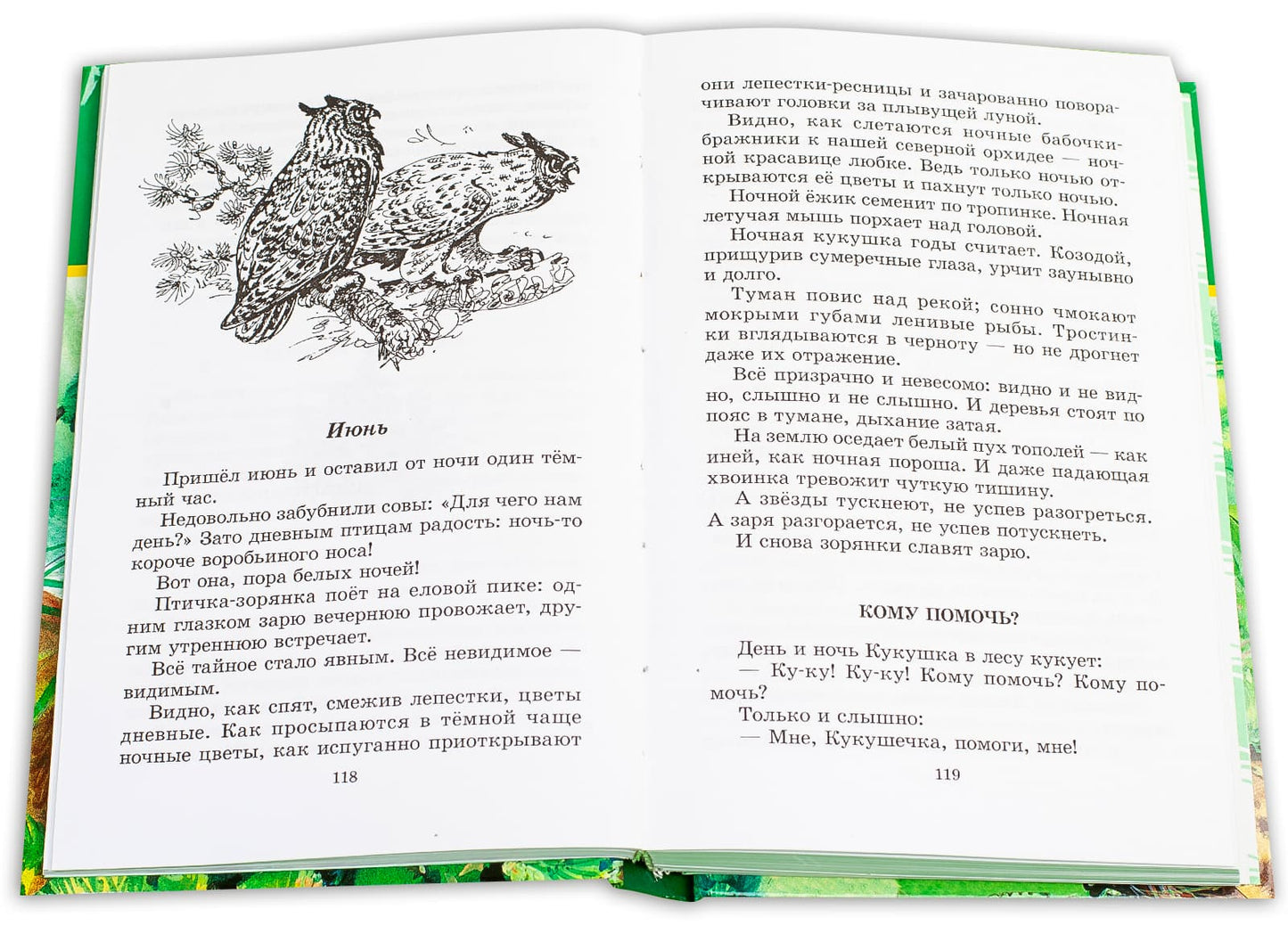 Лесные тайнички (зеленая)