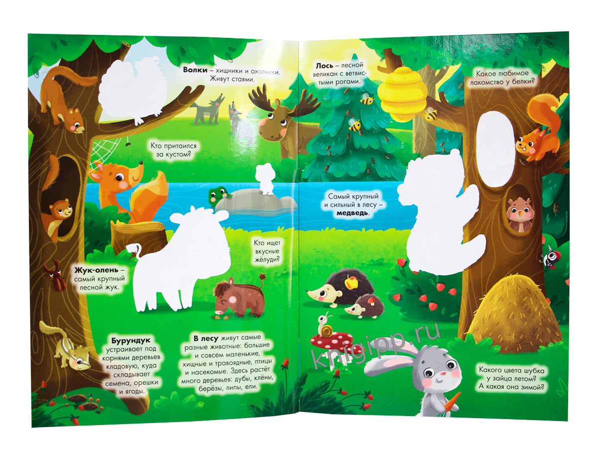 МНОГОРАЗОВАЯ ВОДНАЯ РАСКРАСКА А4. ЖИВОТНЫЕ