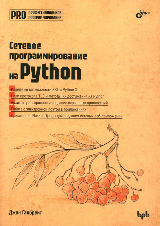 Профессиональное программирование. Сетевое программирование на Python