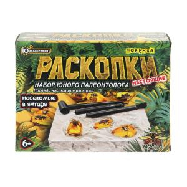 Раскопки раскопки, коробка IQ Эксперимент