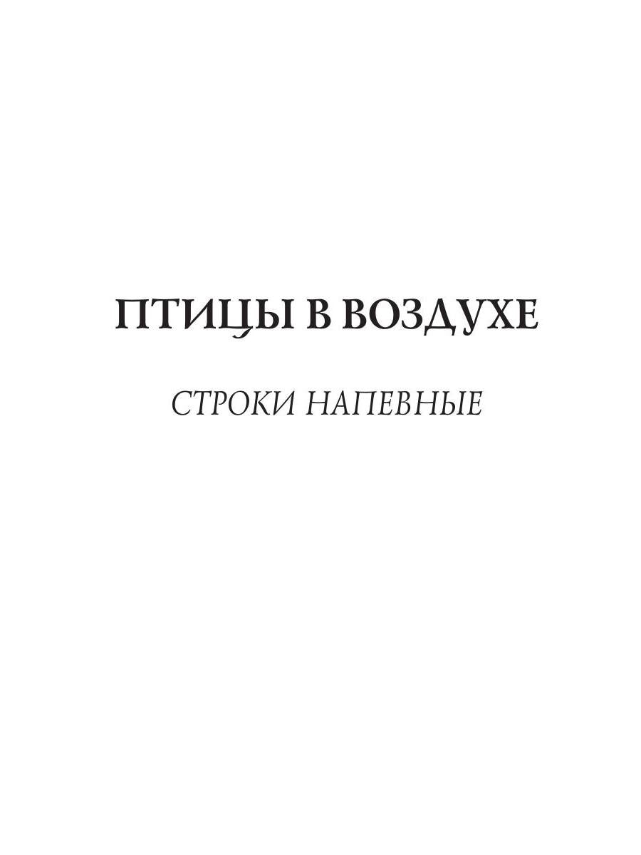 Птицы в воздухе