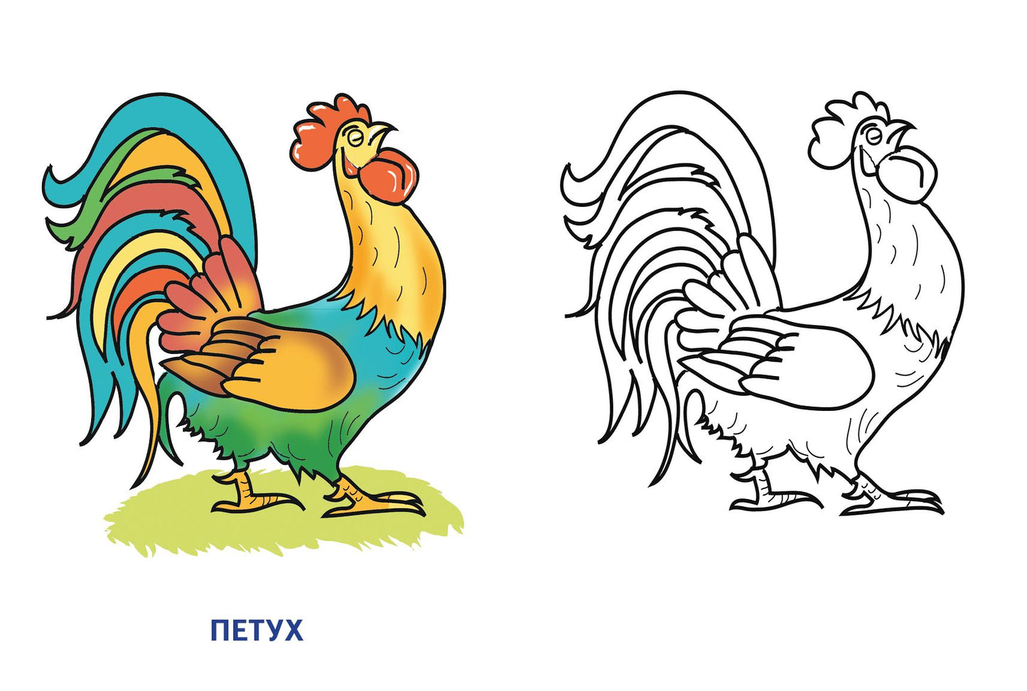 Раскраска. Домашние животные. 2-4 года.