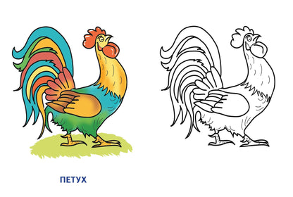 Раскраска. Домашние животные. 2-4 года.