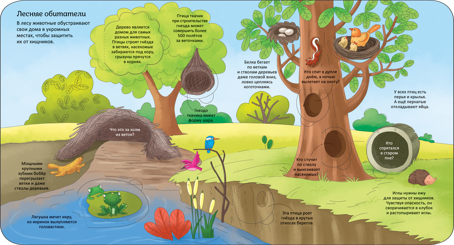 Животные. Энциклопедия с окошками