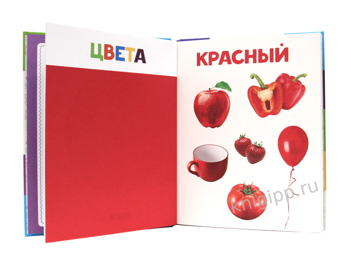 ГЛАВНАЯ КНИГА МАЛЫША матов.ламин.обл. выб.лак. офсет 203х257