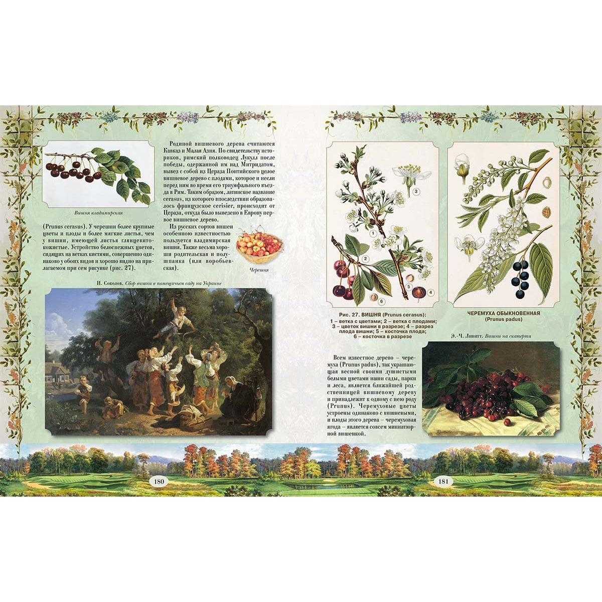 Из Зеленого Царства. Популярные очерки из мира растений