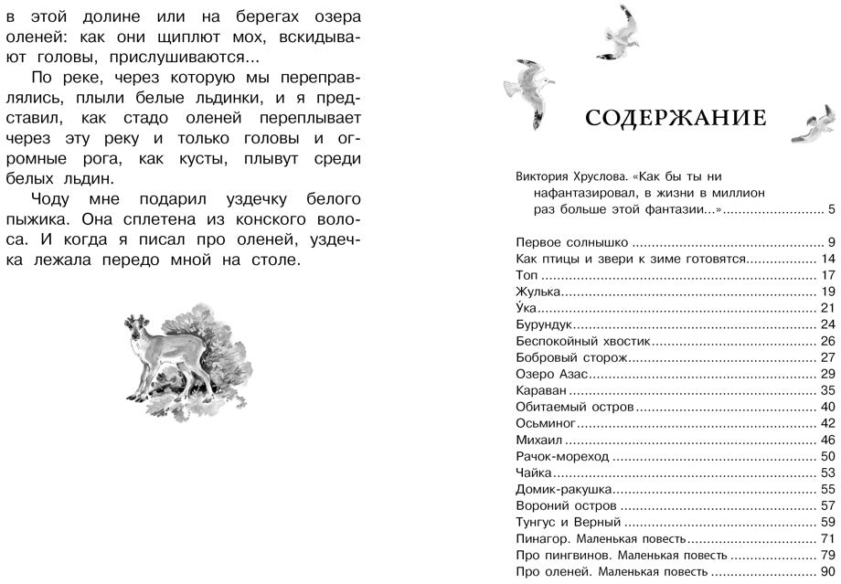 Беспокойный хвостик