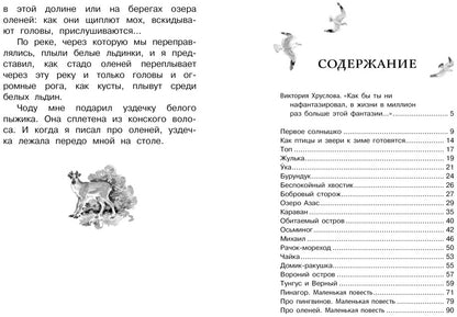 Беспокойный хвостик
