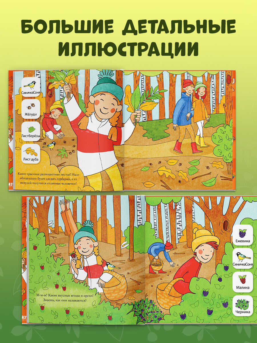 Найди и покажи. Найди и покажи, малыш. В лесу/Нет а.